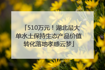 510万元！湖北最大单水土保持生态产品价值转化落地孝感云梦