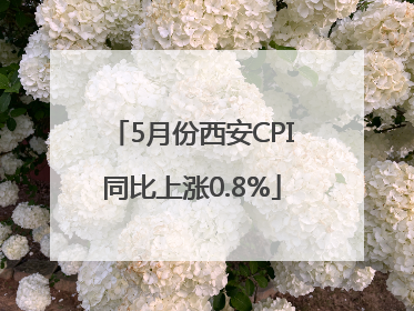 5月份西安CPI同比上涨0.8%