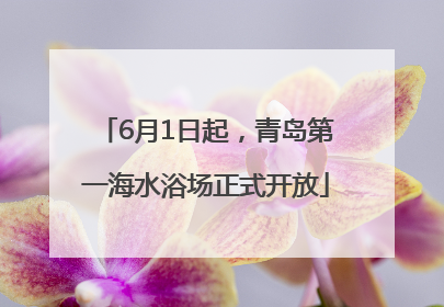 6月1日起，青岛第一海水浴场正式开放