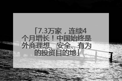 7.3万家，连续4个月增长！中国始终是外商理想、安全、有为的投资目的地