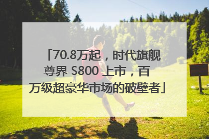 70.8万起，时代旗舰尊界 S800 上市，百万级超豪华市场的破壁者