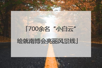 700余名“小白云”绘就南博会亮丽风景线