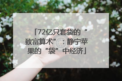 72亿只套袋的“致富算术”：静宁苹果的“袋”中经济