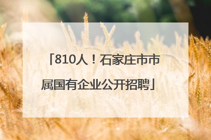 810人！石家庄市市属国有企业公开招聘