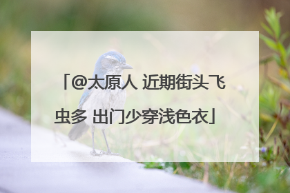 @太原人 近期街头飞虫多 出门少穿浅色衣