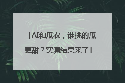 AI和瓜农，谁挑的瓜更甜？实测结果来了
