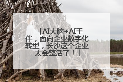 AI大脑+AI手伴，面向企业数字化转型，长沙这个企业太会整活了！