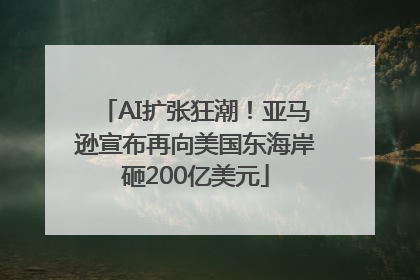 AI扩张狂潮！亚马逊宣布再向美国东海岸砸200亿美元