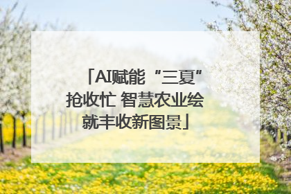AI赋能“三夏”抢收忙 智慧农业绘就丰收新图景