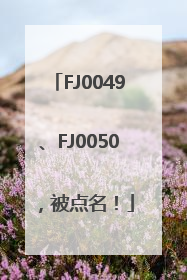 FJ0049、FJ0050，被点名！
