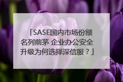 SASE国内市场份额名列前茅 企业办公安全升级为何选择深信服？